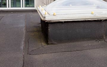 disadvantages of Argoed flat roofs