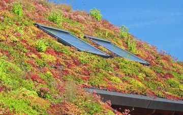 Argoed living roof systems