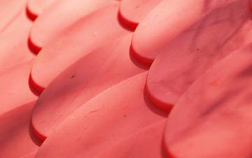 Argoed plastic roof costs