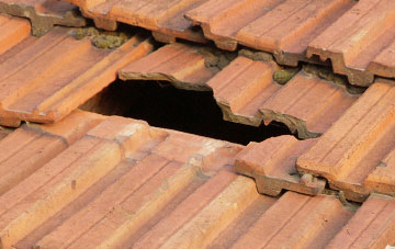 roof repair Argoed