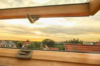 rated Argoed roof window companies
